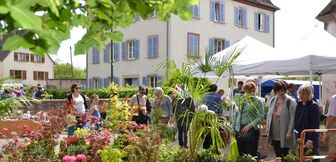 Foire aux plantes d'Avolsheim